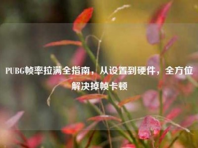 PUBG帧率拉满全指南，从设置到硬件，全方位解决掉帧卡顿