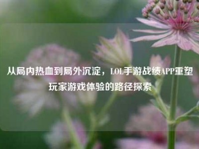 从局内热血到局外沉淀，LOL手游战绩APP重塑玩家游戏体验的路径探索