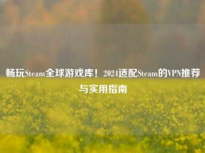 畅玩Steam全球游戏库！2024适配Steam的VPN推荐与实用指南