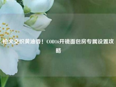 枪火交织黄油香！COD16开镜面包房专属设置攻略