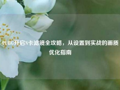 PUBG开启N卡滤镜全攻略，从设置到实战的画质优化指南