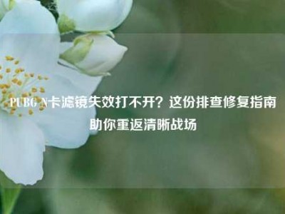 PUBG N卡滤镜失效打不开？这份排查修复指南助你重返清晰战场