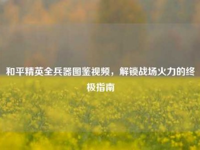 和平精英全兵器图鉴视频，解锁战场火力的终极指南