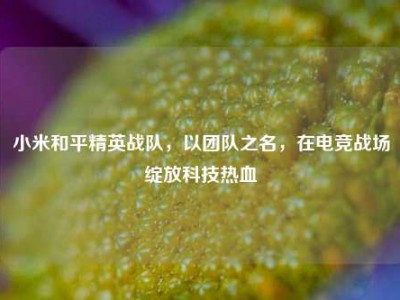 小米和平精英战队，以团队之名，在电竞战场绽放科技热血