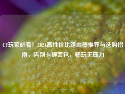 CF玩家必看！2024高性价比路由器推荐与选购指南，告别卡顿丢包，畅玩无压力