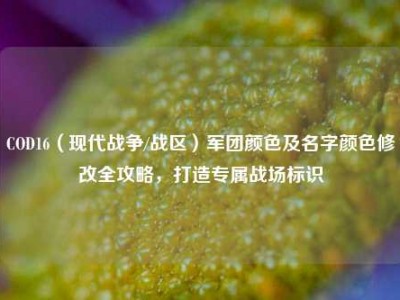 COD16（现代战争/战区）军团颜色及名字颜色修改全攻略，打造专属战场标识