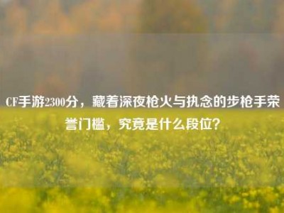 CF手游2300分，藏着深夜枪火与执念的步枪手荣誉门槛，究竟是什么段位？