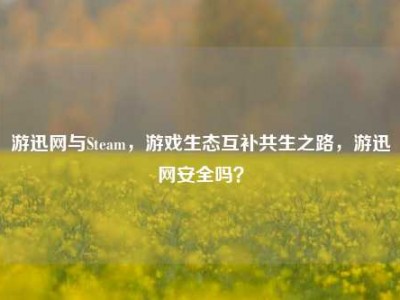 游迅网与Steam，游戏生态互补共生之路，游迅网安全吗？