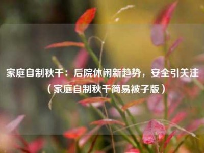 家庭自制秋千：后院休闲新趋势，安全引关注（家庭自制秋千简易被子版）