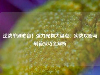 逆战单刷必备！强力宠物大盘点、实战攻略与刷箱技巧全解析