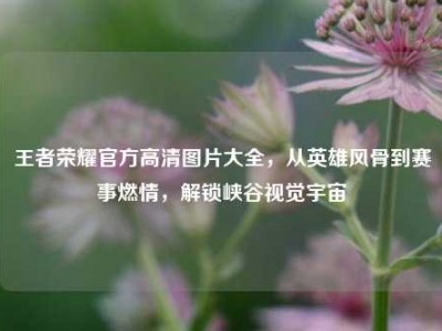 王者荣耀官方高清图片大全，从英雄风骨到赛事燃情，解锁峡谷视觉宇宙