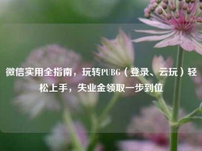 微信实用全指南，玩转PUBG（登录、云玩）轻松上手，失业金领取一步到位