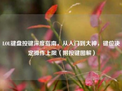 LOL键盘按键深度指南，从入门到大神，键位决定操作上限（附按键图解）