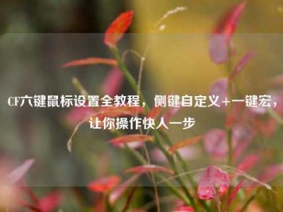 CF六键鼠标设置全教程，侧键自定义+一键宏，让你操作快人一步