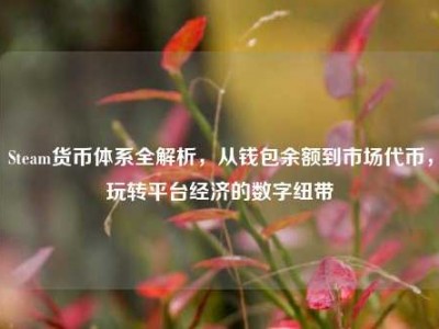 Steam货币体系全解析，从钱包余额到市场代币，玩转平台经济的数字纽带