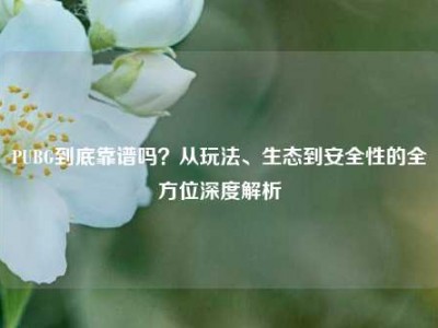 PUBG到底靠谱吗？从玩法、生态到安全性的全方位深度解析