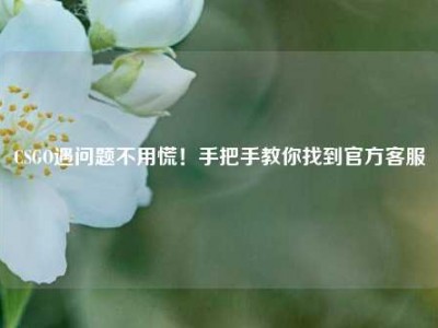 CSGO遇问题不用慌！手把手教你找到官方客服