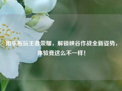 用平板玩王者荣耀，解锁峡谷作战全新姿势，体验竟这么不一样！