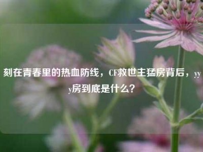 刻在青春里的热血防线，CF救世主猛房背后，yyy房到底是什么？