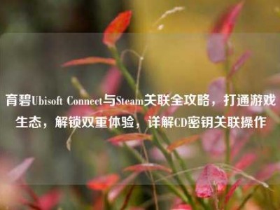 育碧Ubisoft Connect与Steam关联全攻略，打通游戏生态，解锁双重体验，详解CD密钥关联操作
