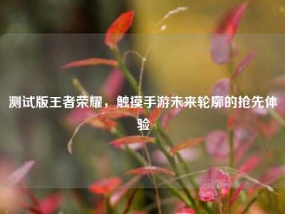测试版王者荣耀，触摸手游未来轮廓的抢先体验