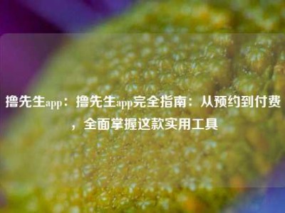 撸先生app：撸先生app完全指南：从预约到付费，全面掌握这款实用工具