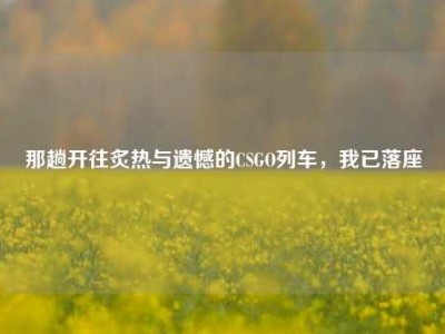 那趟开往炙热与遗憾的CSGO列车，我已落座