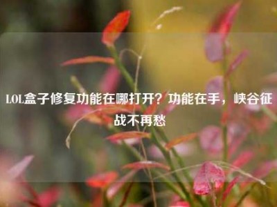 LOL盒子修复功能在哪打开？功能在手，峡谷征战不再愁