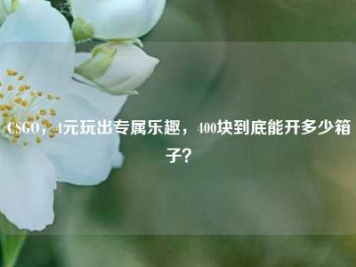 CSGO，4元玩出专属乐趣，400块到底能开多少箱子？