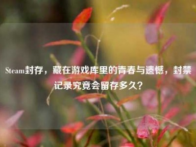Steam封存，藏在游戏库里的青春与遗憾，封禁记录究竟会留存多久？