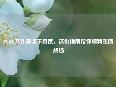 PUBG文件错误不用慌，这份指南帮你顺利重回战场