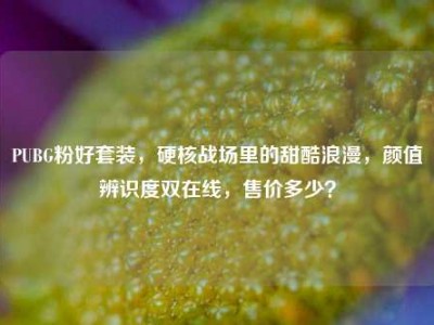PUBG粉好套装，硬核战场里的甜酷浪漫，颜值辨识度双在线，售价多少？