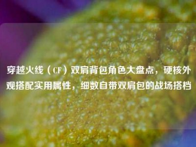 穿越火线（CF）双肩背包角色大盘点，硬核外观搭配实用属性，细数自带双肩包的战场搭档