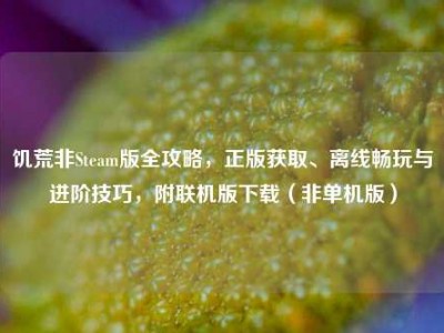 饥荒非Steam版全攻略，正版获取、离线畅玩与进阶技巧，附联机版下载（非单机版）