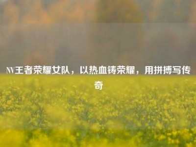 NV王者荣耀女队，以热血铸荣耀，用拼搏写传奇