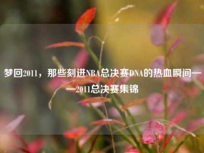 梦回2011，那些刻进NBA总决赛DNA的热血瞬间——2011总决赛集锦