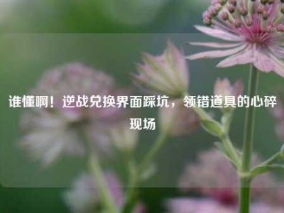 谁懂啊！逆战兑换界面踩坑，领错道具的心碎现场