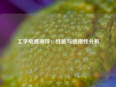 工字电感测评：性能与适用性分析