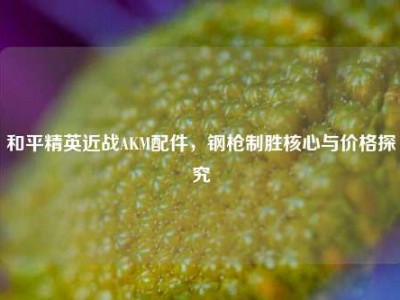 和平精英近战AKM配件，钢枪制胜核心与价格探究