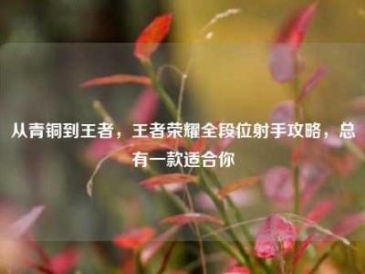 从青铜到王者，王者荣耀全段位射手攻略，总有一款适合你