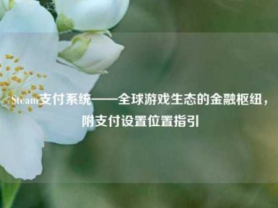 Steam支付系统——全球游戏生态的金融枢纽，附支付设置位置指引