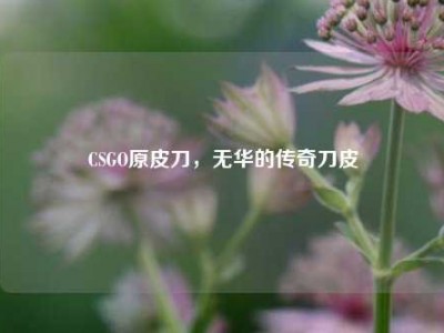 CSGO原皮刀，无华的传奇刀皮