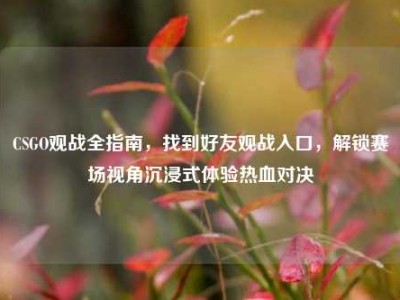 CSGO观战全指南，找到好友观战入口，解锁赛场视角沉浸式体验热血对决