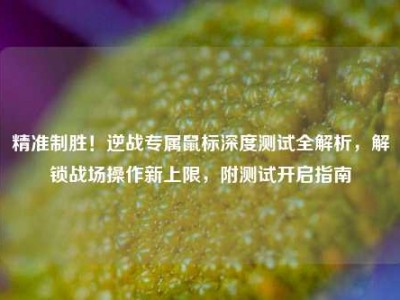 精准制胜！逆战专属鼠标深度测试全解析，解锁战场操作新上限，附测试开启指南