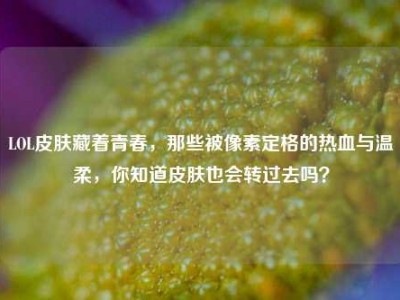 LOL皮肤藏着青春，那些被像素定格的热血与温柔，你知道皮肤也会转过去吗？