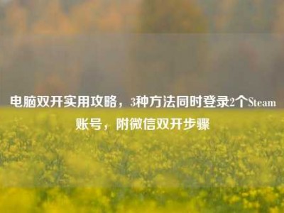 电脑双开实用攻略，3种方法同时登录2个Steam账号，附微信双开步骤
