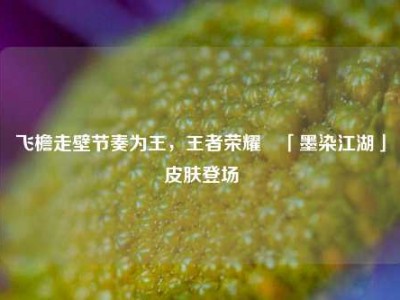 飞檐走壁节奏为王，王者荣耀暃「墨染江湖」皮肤登场