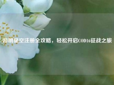 游明星空注册全攻略，轻松开启COD16征战之旅