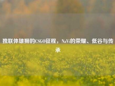 独联体雄狮的CSGO征程，NaVi的荣耀、低谷与传承