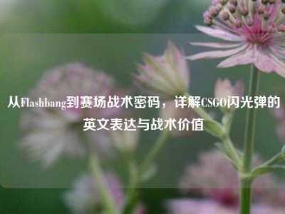 从Flashbang到赛场战术密码，详解CSGO闪光弹的英文表达与战术价值